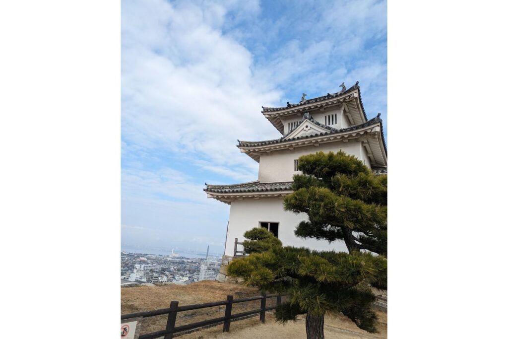 Marugame Castle with a scenic view of the city and a pine tree in the foreground, located in Kagawa, Shikoku