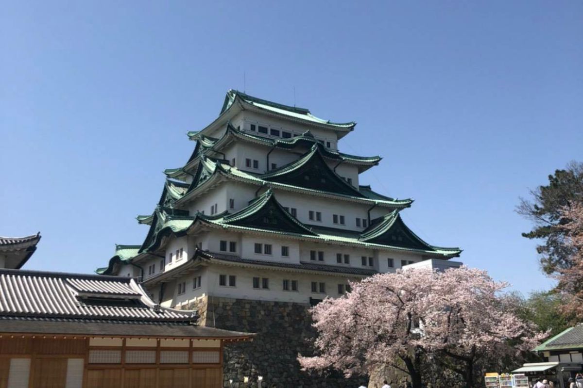 Nagoya Castle in spring with cherry blossoms in full bloom — a must-see stop on any Nagoya travel itinerary during your family trip to Japan.