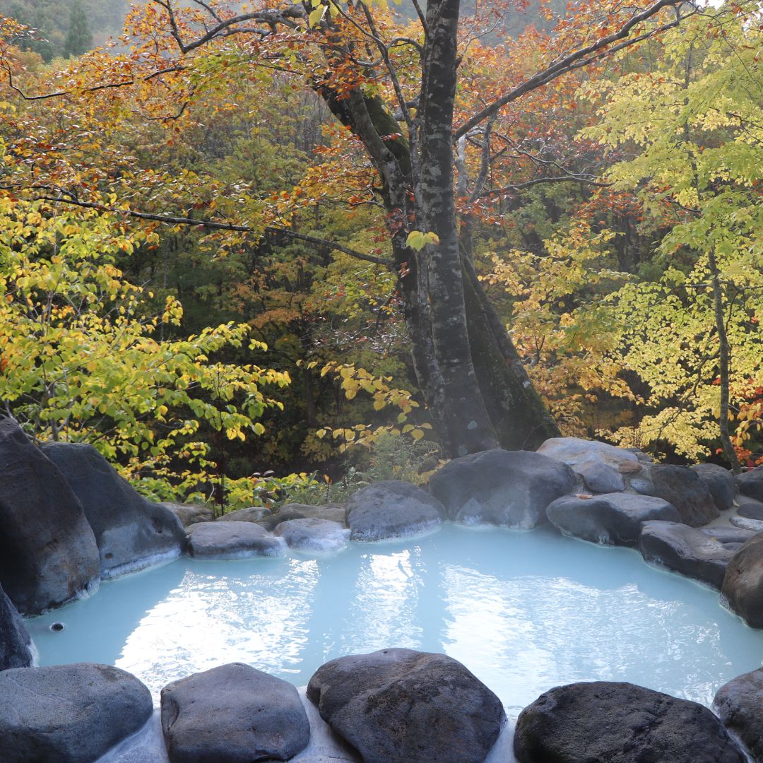 Scenic outdoor onsen with blue water and fall foliage — best onsen in japan with stunning mountain and forest views.