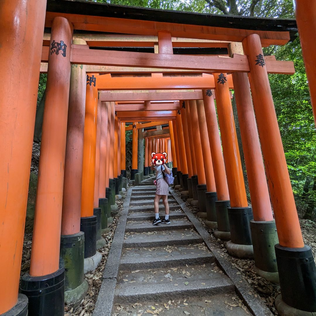 Walking through the red torii gates of Fushimi Inari Shrine in Kyoto – iconic stop for Japan family trip Osaka Kyoto.