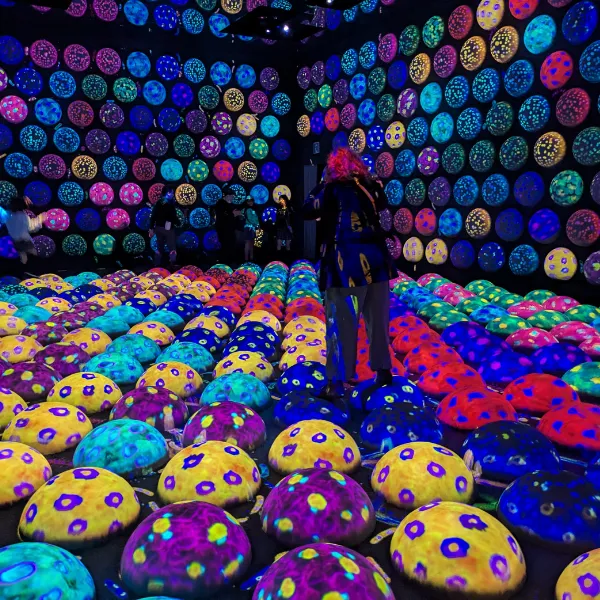 Colorful immersive art room at teamLab, vibrant spheres covering walls and floor
