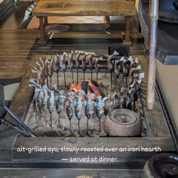 Charcoal-grilled ayu (sweetfish) being cooked over the irori hearth at Yarimikan — a traditional touch at the best onsen in Gifu with kids.
