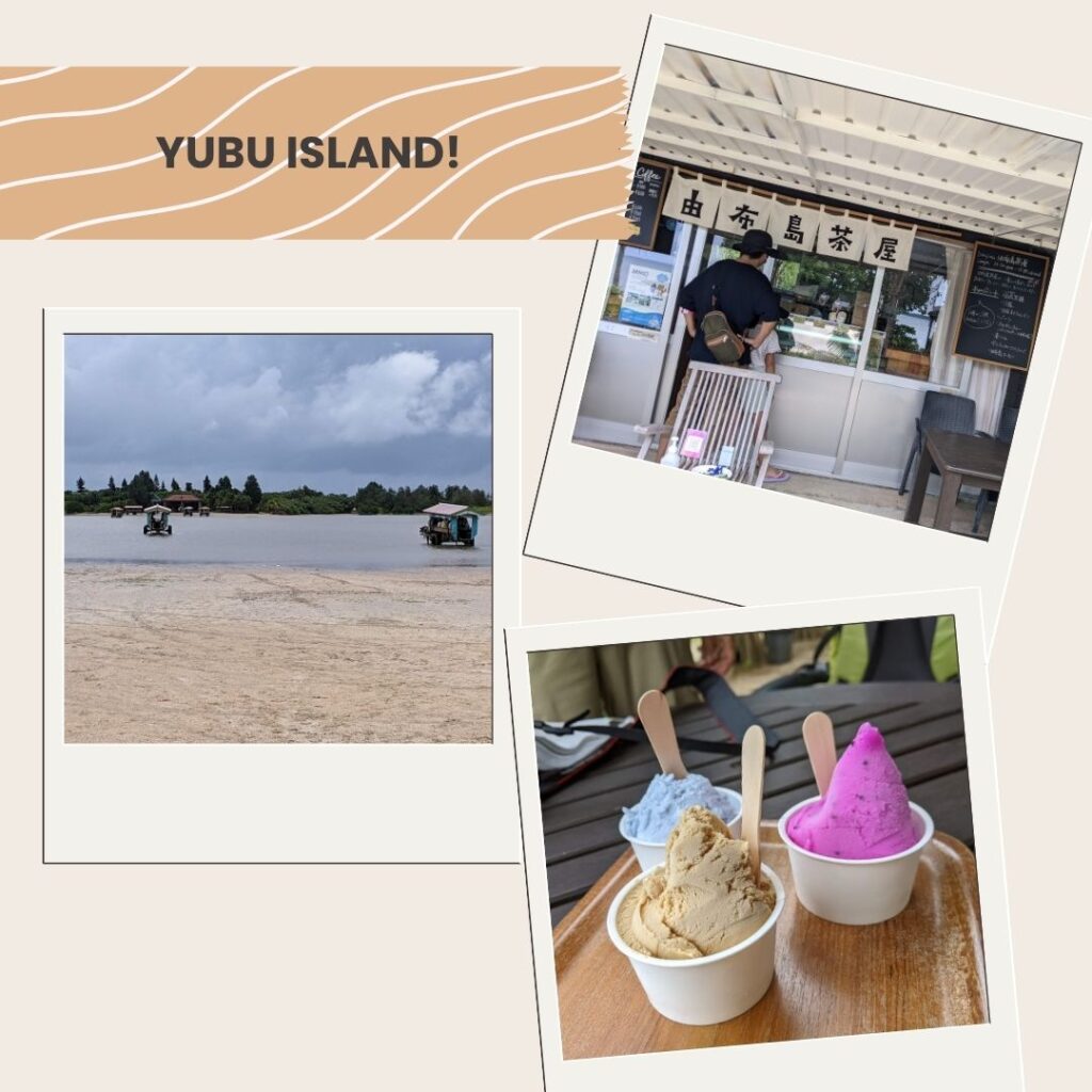 Exploring Yubu Island near Iriomote by water buffalo cart with local café and gelato