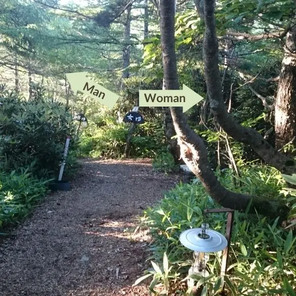 Forest path leading to separate men’s and women’s outdoor baths at Takamine Onsen.