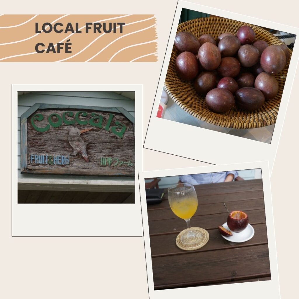 Photos of local fruit café at Kabira Farm offering tropical drinks on Ishigaki island.