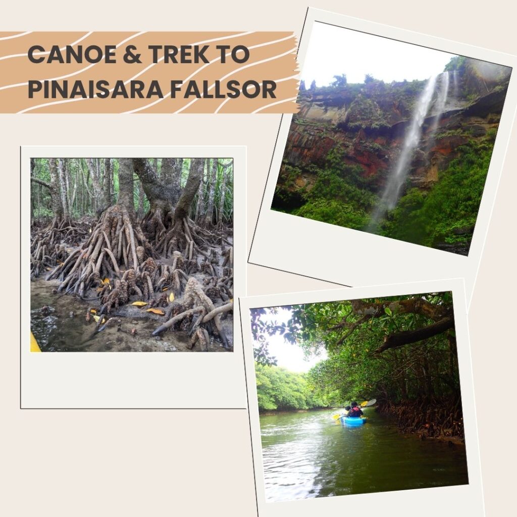 Canoeing and trekking to Pinaisara Falls on Iriomote Island Japan