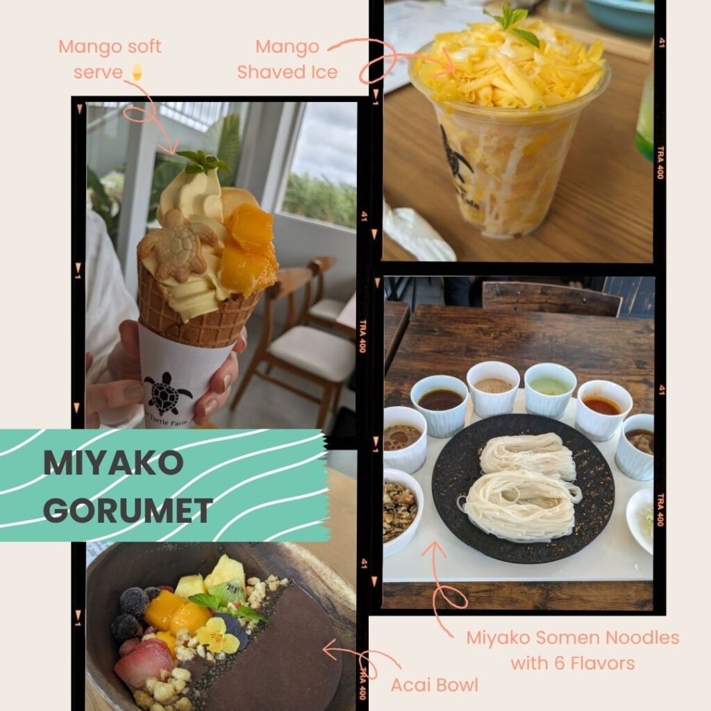 Miyako Island gourmet treats: mango soft serve, mango shaved ice, somen noodles, and acai bowl.