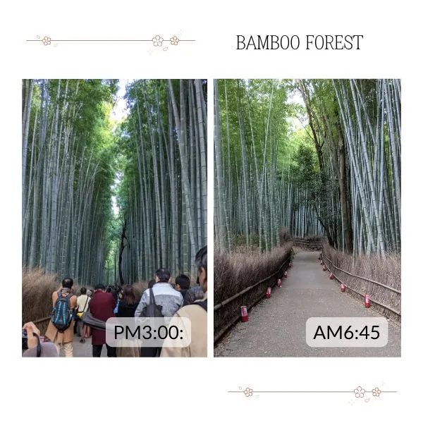Arashiyama bamboo forest crowded in the afternoon vs empty early morning near Kyoto Arashiyama Hotel Kadensho