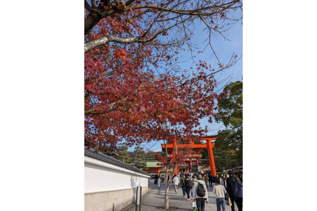 Autumn foliage and torii gate at the entrance of Fushimiinari Taisha Shrine in Kyoto
