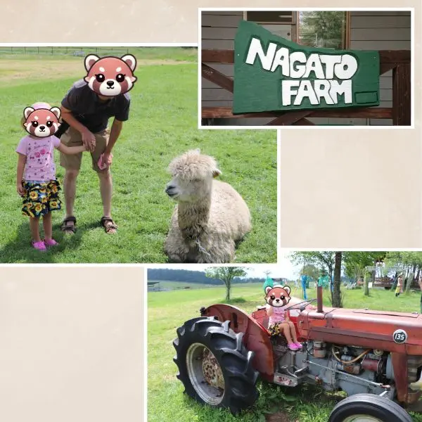Child and parent petting an alpaca on the grass at Nagato Farm - Nagato Farm, family-friendly Japan travel. Young child sitting on a red vintage tractor at Nagato Farm - Nagato Farm, Nagano day trip.Signboard at the entrance of Nagato Farm with wooden lettering - Nagato Farm, family-friendly Japan travel
