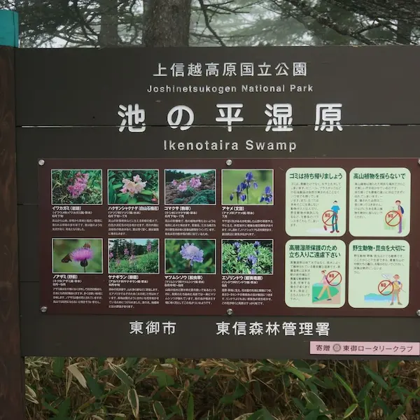 Starting the hike from the Information Center trailhead