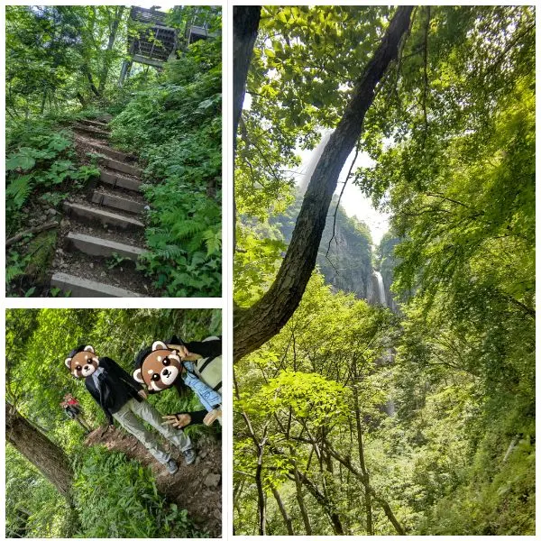 Three generations hiking through the woods on the Yonako Falls trail in Nagano