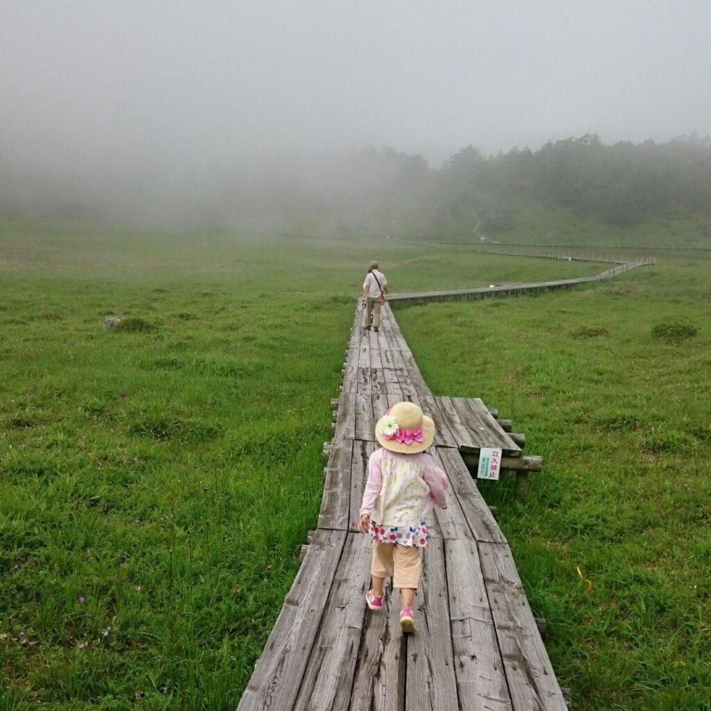 The wooden boardwalks made the trail fun and safe for kids