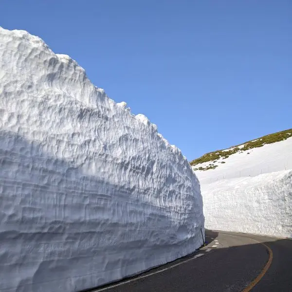 Massive snow walls lining the Tateyama Kurobe Alpine Route under a clear blue sky – a must-see in the Nagano travel guide.