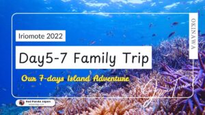 Iriomote Island 3-Day Itinerary: Explore Nature and Adventure