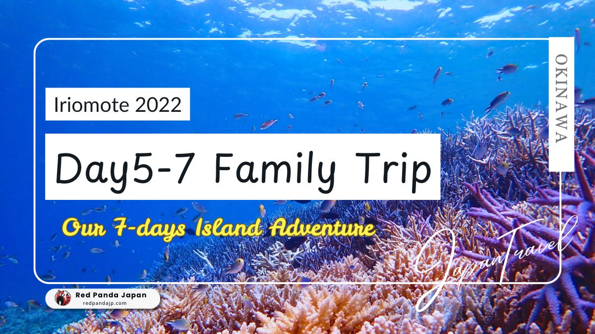 Iriomote Island 3-Day Itinerary: Explore Nature and Adventure