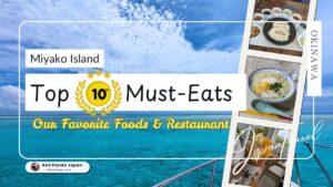 🌴 Miyakojima Gourmet Ranking! 10 Must-Try Dishes 🍽️
