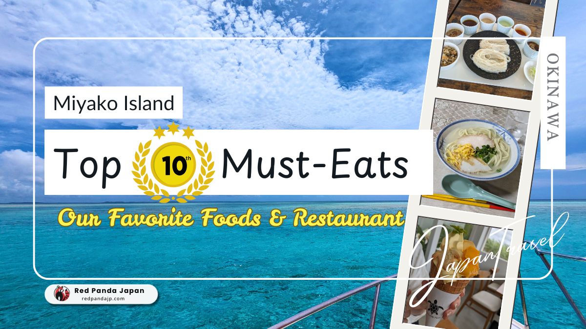 🌴 Miyakojima Gourmet Ranking! 10 Must-Try Dishes 🍽️