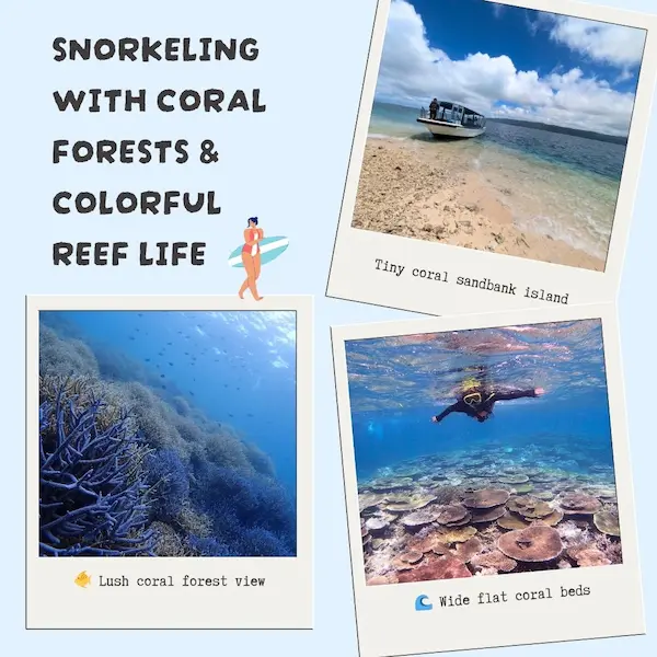 Snorkeling at Barasu Island with colorful coral and tropical reef fish – part of our Iriomote itinerary adventure.