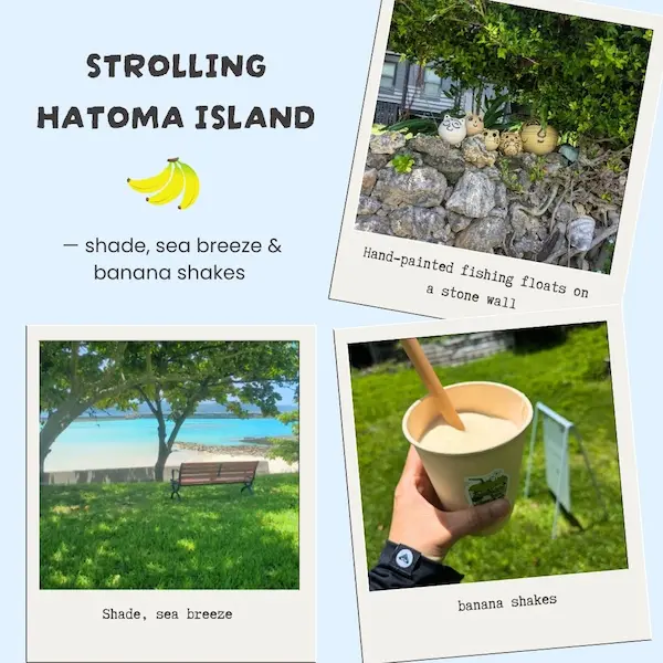 Walking along Hatoma Island’s scenic school path with hand-painted buoys and a banana shake break – a unique family snorkeling tour experience.