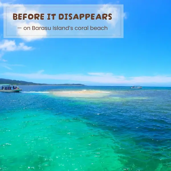 Family snorkeling tour highlight from our Iriomote itinerary: landing on Barasu Island after exploring coral reefs and colorful fish.