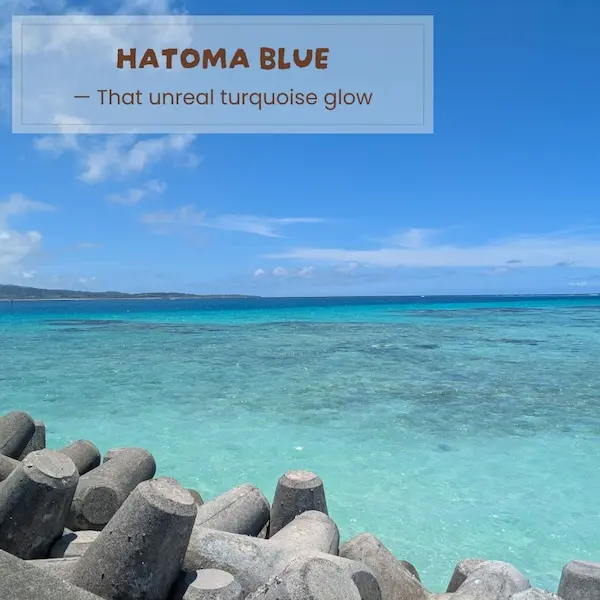 Charming Hatoma Island stroll during our Iriomote itinerary, featuring painted fishing floats, peaceful paths, and a sweet banana shake stop.