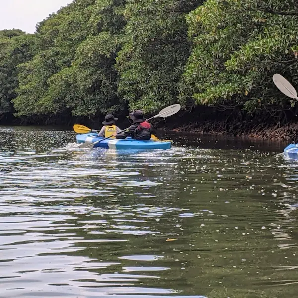 Family kayaking through mangroves in Iriomote, Okinawa—a fun adventure to include in your Japan family itinerary.