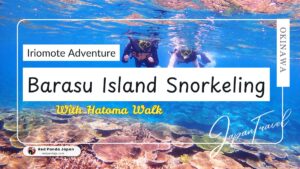 Iriomote Family Snorkeling: A Day Trip to Remember