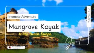 Iriomote Kayaking Tour: A Family-Friendly Adventure to Ida Beach and Waterfalls