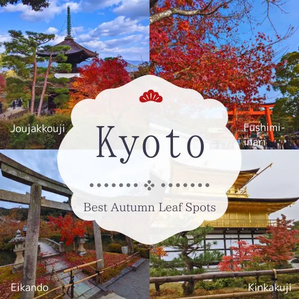 Kyoto autumn leaves at Jojakkoji, Fushimi Inari, Eikando and Kinkakuji – Japan autumn travel highlights