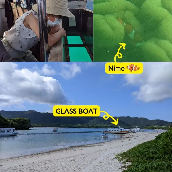See vibrant coral reefs and marine life—like clownfish (Nemo)—without getting wet, on an easy glass-bottom boat tour in Kabira Bay.