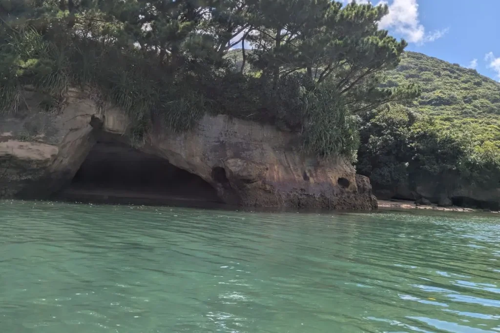 Rocky sea cave along the Iriomote kayaking tour route, surrounded by lush forest.