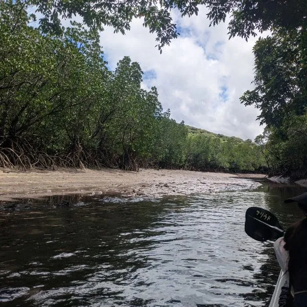 Paddle through lush mangrove forests on an unforgettable kayak tour in Iriomote Island, a paradise for nature lovers.