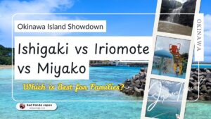 Okinawa Family Travel Guide: Which Island Should You Choose?
