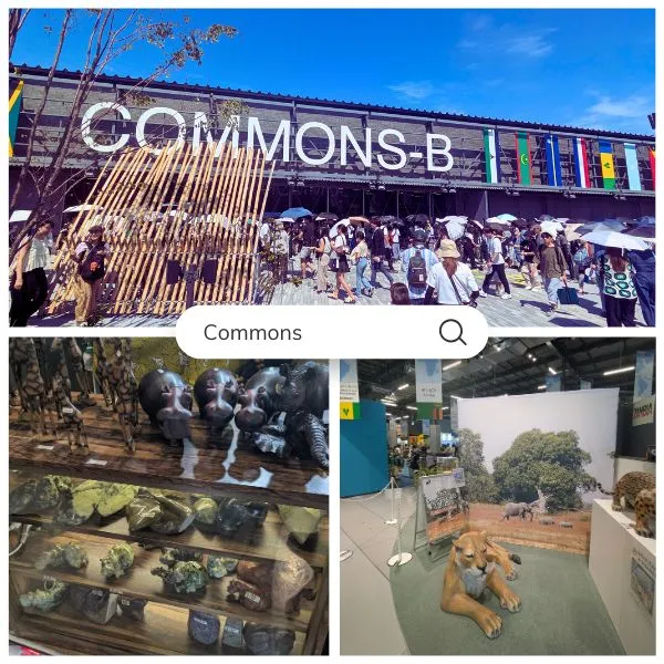 Commons B exterior and exhibits with visitors｜a reservation-free area to explore alongside Italy Pavilion Expo 2025.