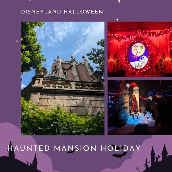 Tokyo Disneyland Halloween special drink with coffee jelly, pumpkin milk, and berry topping, a seasonal treat.