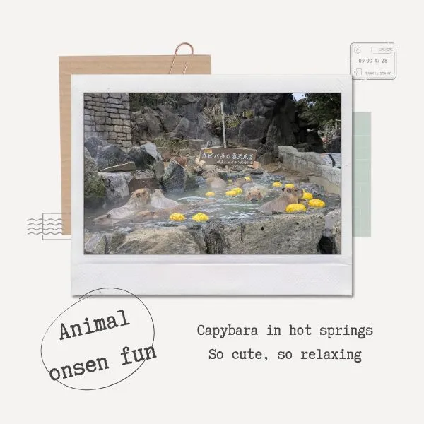 Capybaras soaking in hot spring at Izu Shaboten Zoo, fun highlight of Izu onsen family travel.