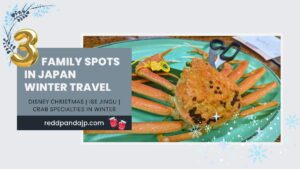 Best Japan Winter Travel with Kids: Ski, Disney & Onsen