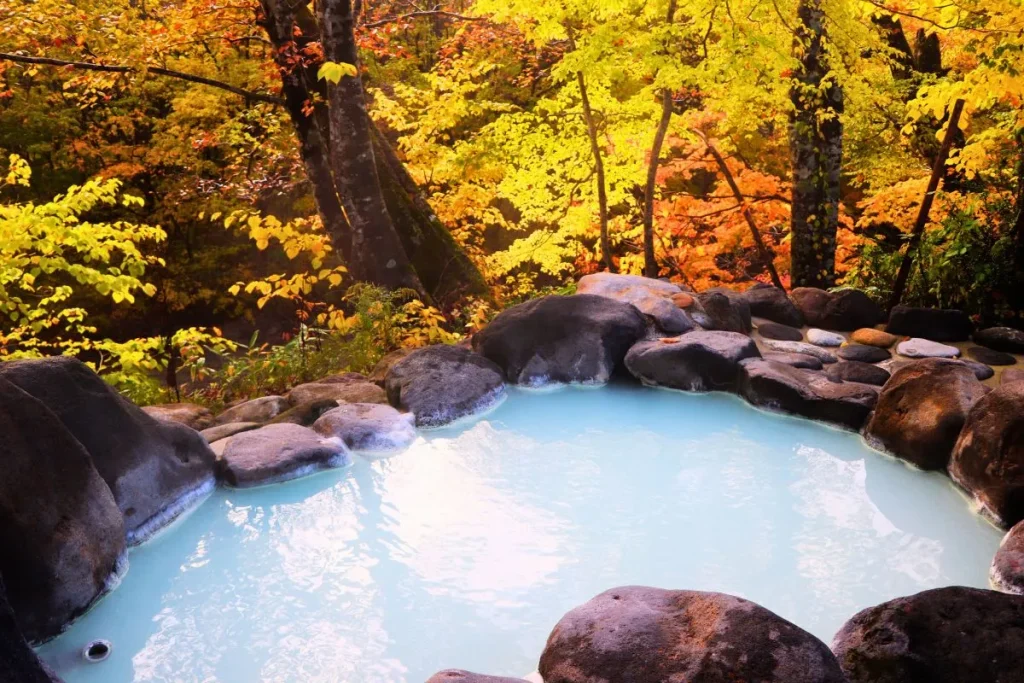 Outdoor milky-blue hot spring surrounded by autumn leaves at a family-friendly onsen ryokan Japan, ideal for relaxing with kids.